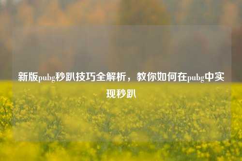 新版pubg秒趴技巧全解析，教你如何在pubg中实现秒趴