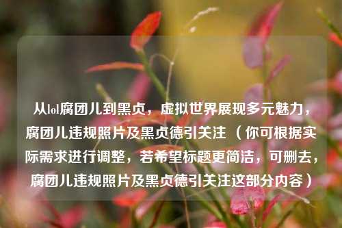 从lol腐团儿到黑贞，虚拟世界展现多元魅力，腐团儿违规照片及黑贞德引关注 （你可根据实际需求进行调整，若希望标题更简洁，可删去，腐团儿违规照片及黑贞德引关注这部分内容）