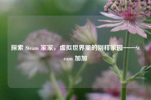 探索 Steam 家家，虚拟世界里的别样家园——Steam 加加