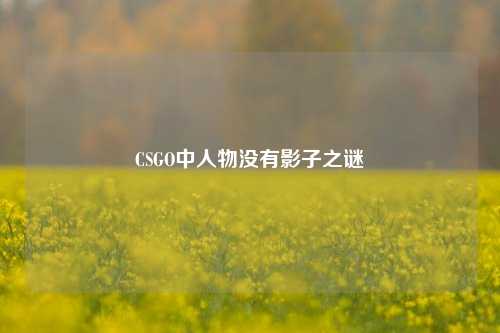 CSGO中人物没有影子之谜