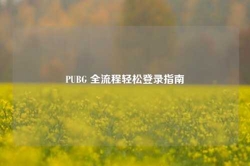 PUBG 全流程轻松登录指南