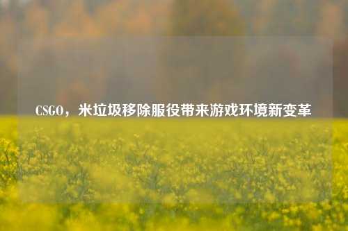 CSGO，米垃圾移除服役带来游戏环境新变革