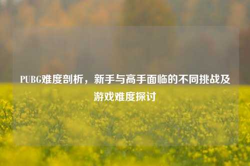 PUBG难度剖析，新手与高手面临的不同挑战及游戏难度探讨