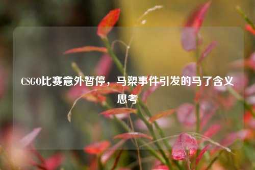 CSGO比赛意外暂停，马槊事件引发的马了含义思考