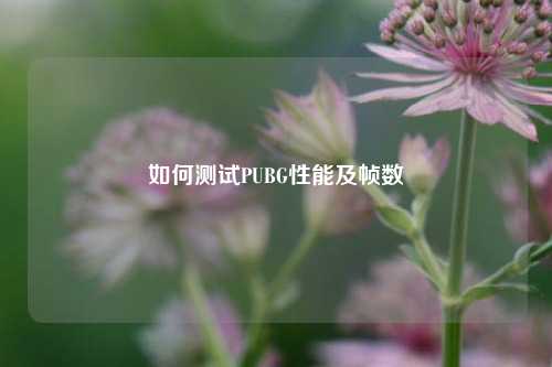 如何测试PUBG性能及帧数