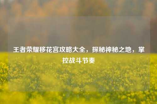 王者荣耀移花宫攻略大全，探秘神秘之地，掌控战斗节奏