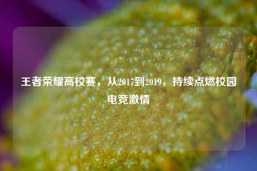 王者荣耀高校赛，从2017到2019，持续点燃校园电竞 *** 