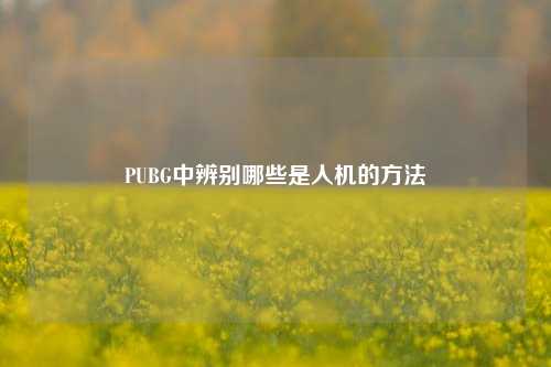 PUBG中辨别哪些是人机的 ***