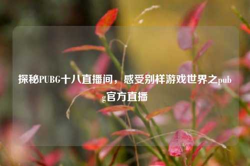 探秘PUBG十八直播间，感受别样游戏世界之pubg官方直播