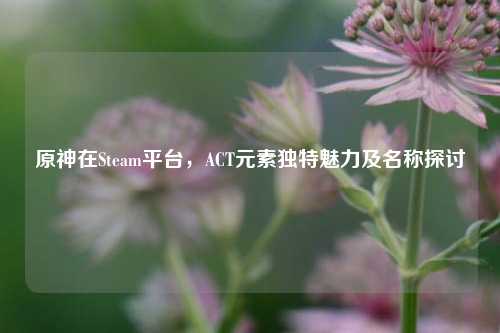 原神在Steam平台,ACT元素独特魅力及名称探讨