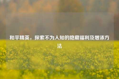 和平精英,探索不为人知的隐藏福利及增添 ***