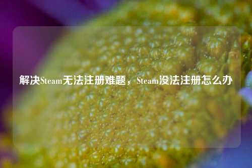 解决Steam无法注册难题,Steam没法注册怎么办