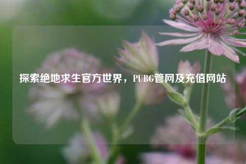 探索绝地求生官方世界，PUBG管网及充值网站