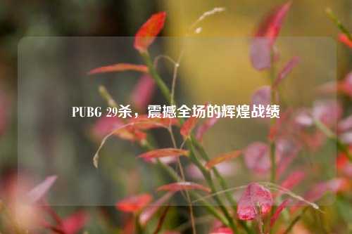PUBG 29杀，震撼全场的辉煌战绩