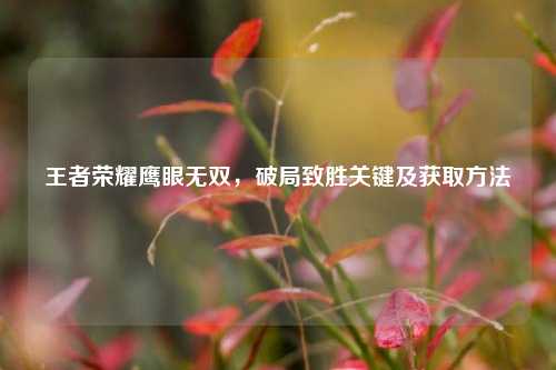 王者荣耀鹰眼无双,破局致胜关键及获取 ***