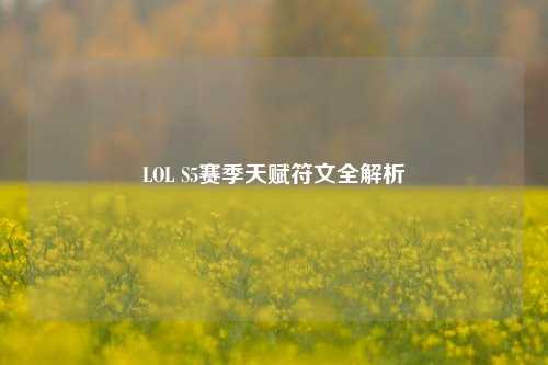 LOL S5赛季天赋符文全解析