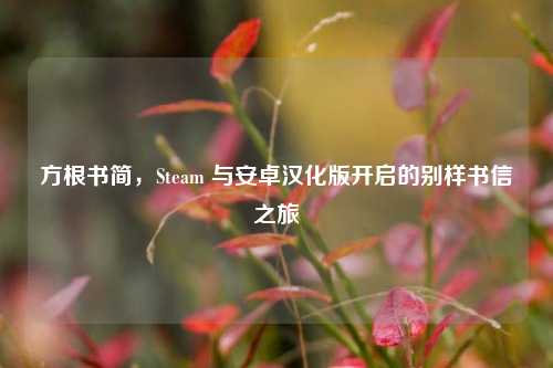 方根书简，Steam 与安卓汉化版开启的别样书信之旅