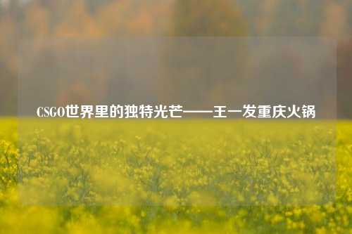 CSGO世界里的独特光芒——王一发重庆火锅