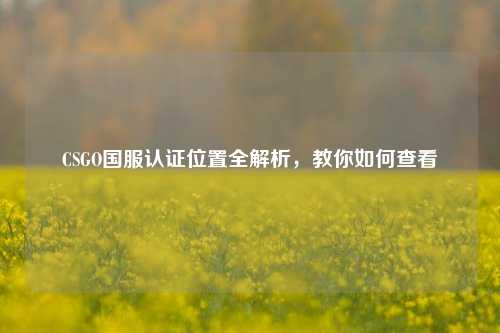 CSGO国服认证位置全解析，教你如何查看