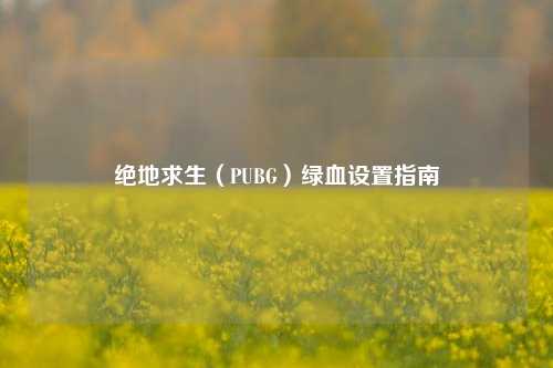 绝地求生（PUBG）绿血设置指南