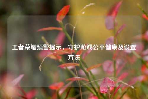 王者荣耀预警提示，守护游戏公平健康及设置 *** 