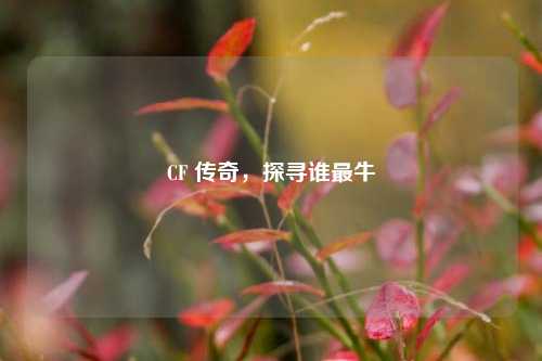 CF 传奇，探寻谁最牛