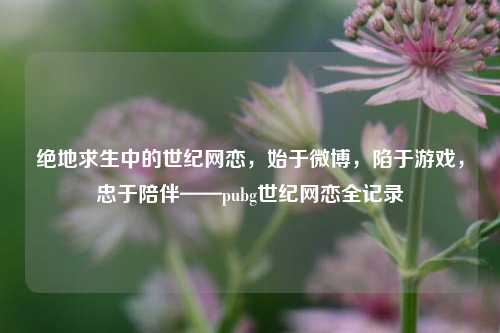 绝地求生中的世纪网恋，始于微博，陷于游戏，忠于陪伴——pubg世纪网恋全记录