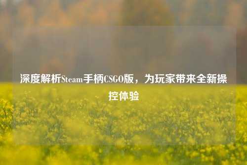 深度解析Steam手柄CSGO版，为玩家带来全新操控体验