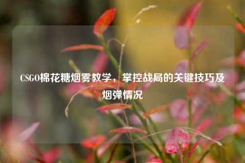 CSGO棉花糖烟雾教学，掌控战局的关键技巧及烟弹情况
