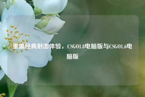 重温经典射击体验,CSGO1.8电脑版与CSGO1.6电脑版