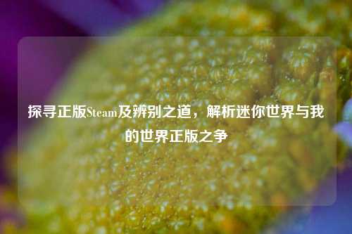 探寻正版Steam及辨别之道，解析迷你世界与我的世界正版之争