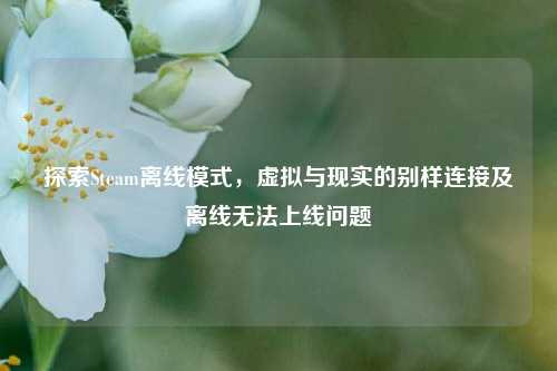 探索Steam离线模式，虚拟与现实的别样连接及离线无法上线问题