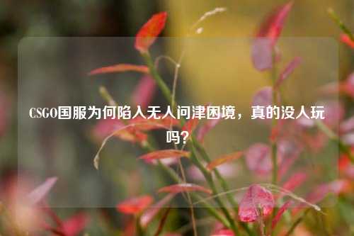 CSGO国服为何陷入无人问津困境,真的没人玩吗?
