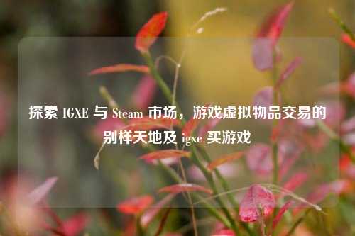 探索 IGXE 与 Steam 市场，游戏虚拟物品交易的别样天地及 igxe 买游戏