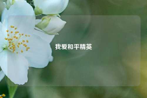 我爱和平精英