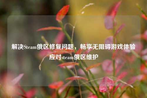 解决Steam俄区修复问题，畅享无阻碍游戏体验应对steam俄区维护