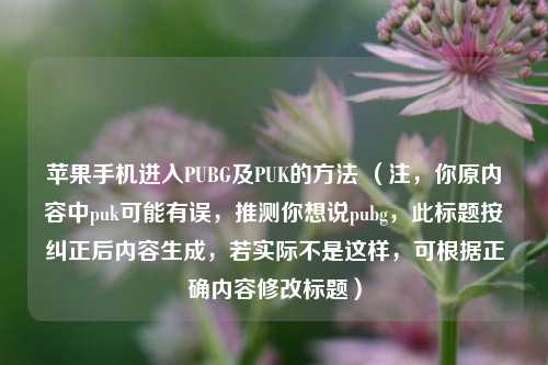 苹果手机进入PUBG及PUK的 ***  （注，你原内容中puk可能有误，推测你想说pubg，此标题按纠正后内容生成，若实际不是这样，可根据正确内容修改标题）