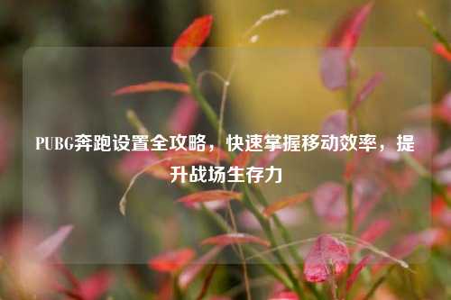 PUBG奔跑设置全攻略，快速掌握移动效率，提升战场生存力
