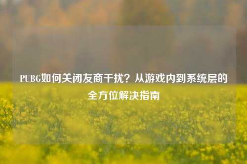 PUBG如何关闭友商干扰?从游戏内到系统层的全方位解决指南