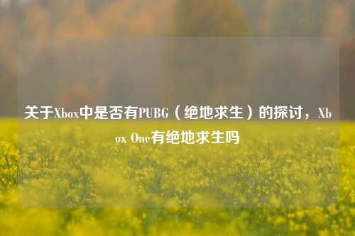 关于Xbox中是否有PUBG（绝地求生）的探讨，Xbox One有绝地求生吗