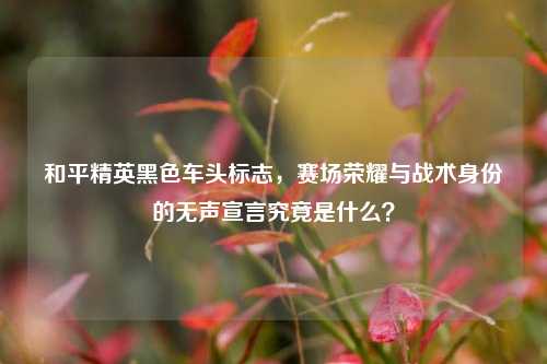 和平精英黑色车头标志，赛场荣耀与战术身份的无声宣言究竟是什么？