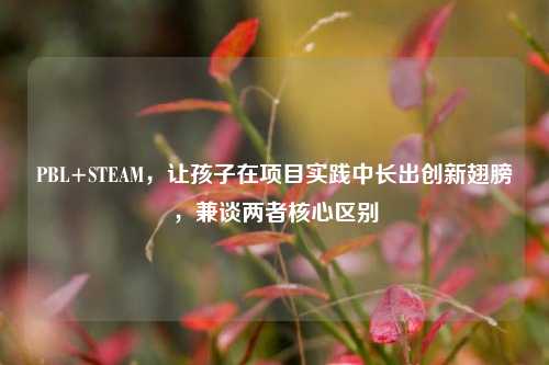 PBL+STEAM,让孩子在项目实践中长出创新翅膀,兼谈两者核心区别
