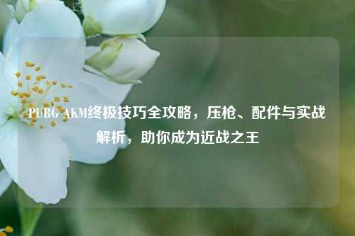 PUBG AKM终极技巧全攻略,压枪、配件与实战解析,助你成为近战之王