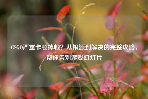 CSGO严重卡顿掉帧？从根源到解决的完整攻略，帮你告别游戏幻灯片