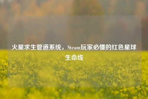 火星求生管道系统，Steam玩家必懂的红色星球生命线