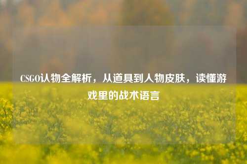 CSGO认物全解析，从道具到人物皮肤，读懂游戏里的战术语言