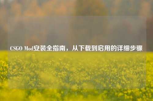 CSGO Mod安装全指南，从下载到启用的详细步骤
