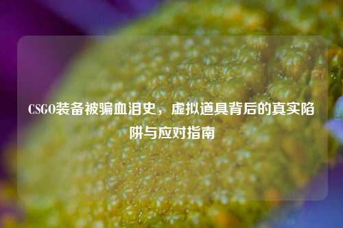 CSGO装备被骗血泪史，虚拟道具背后的真实陷阱与应对指南