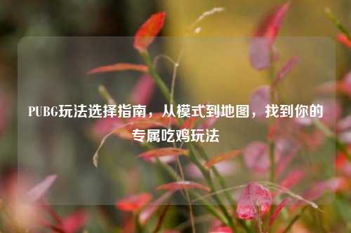 PUBG玩法选择指南，从模式到地图，找到你的专属吃鸡玩法