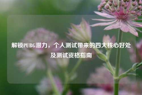 解锁PUBG潜力，个人测试带来的四大核心好处及测试资格指南
